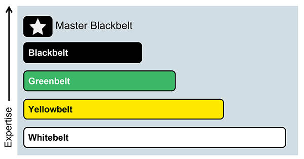 Lean Six Sigma competency tiers bar chart. from Whitebelt to Master Blackbelt